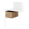 Дуб калифорния