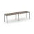 Вяз благородный/Серый