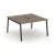 Вяз благородный/Черный