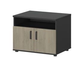 Тумба для оргтехники СМТ-2ДН Тип1 800x600x607 Смарт (pt) images