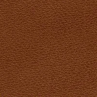 CONSUL-Bicolore-Eichel-6030-Y70R